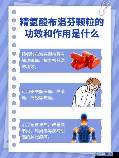 国精产品 8220 究竟有何独特之处？其优势与特点大揭秘