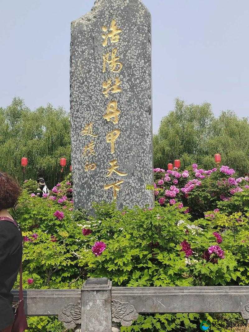 亭亭玉立国色天香九月天：探寻秋季最美的自然与人文景观