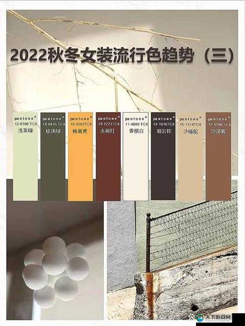探索亚训色网：揭秘最新色彩趋势与设计灵感，打造独特视觉体验