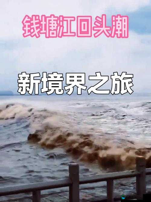 大但人文 137：探索未知的边界
