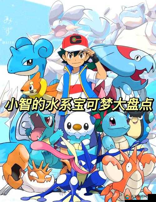 宠物纷争水系提升攻略的演变史