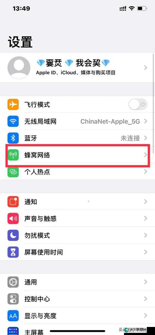 中国 X 站苹果手机安装包怎么获取？快来了解一下详细步骤