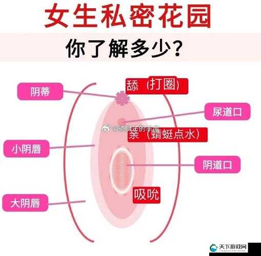 女人被添荫蒂舒服吗？深入探讨这一敏感话题的真实感受与体验分享