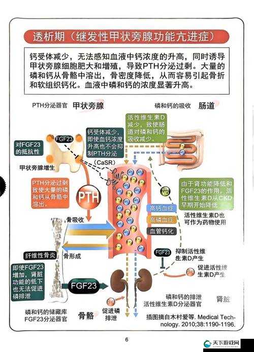 牲ZOZ〇交体内生成机制揭秘：探索其独特作用与潜在应用前景