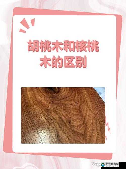 提问：胡桃和核桃有何区别？来看这张详细区别图片解答