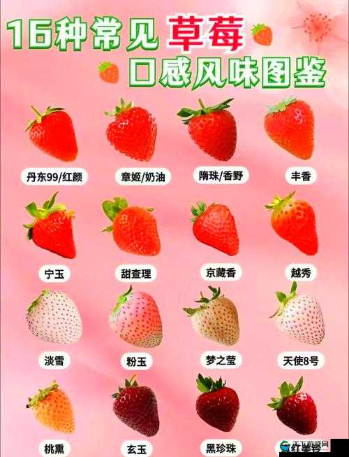 草莓视频十八禁止下载观看：了解合法观看途径与内容安全指南  这个不仅完整保留了关键字草莓视频十八禁止下载观看，还通过提供合法观看途径和内容安全信息，吸引了用户点击，同时符合百度SEO优化的要求