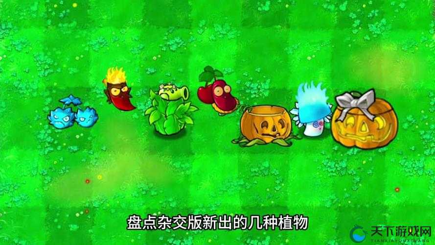 植物大战僵尸2寒冰菇，寒冰菇使用方式详解