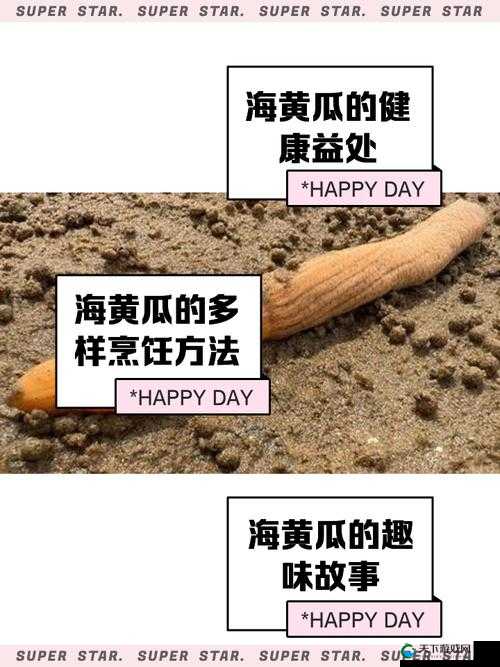 黄瓜好爽大H:揭秘其独特魅力与健康益处,让你体验前所未有的清爽感受