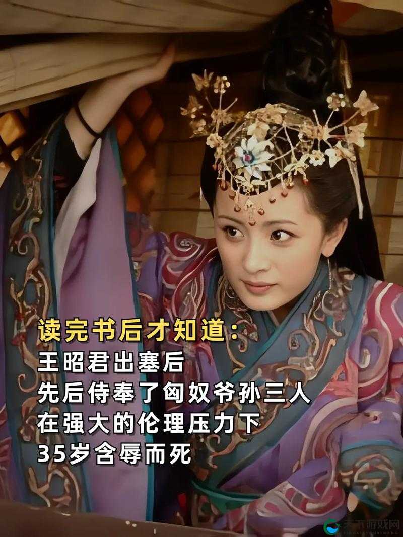 王昭君电视剧有字幕：完整版高清在线观看，深入解读历史人物王昭君的传奇故事