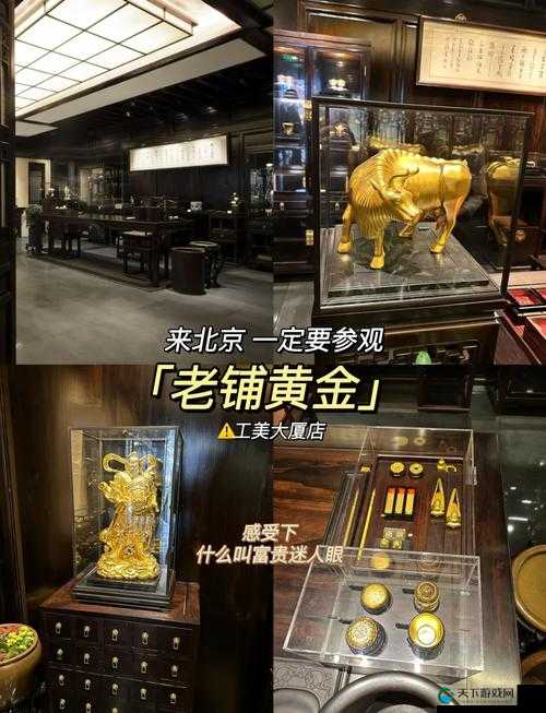 黄金网站APP观看下载真的免费吗？来一探究竟，开启精彩体验之旅