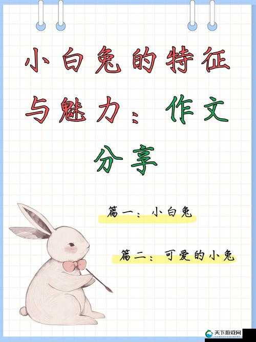小兔子官网：探索失落生活的秘密，寻找真实的自己