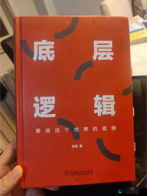 九州天空城组队秘境全攻略，底层逻辑与实战操作深度解析