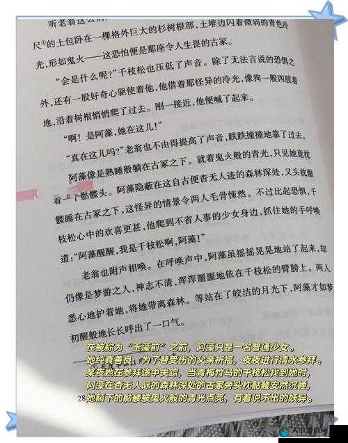 雅君柔佳文枫三部曲深度解析：情感纠葛与命运交织的文学经典探讨