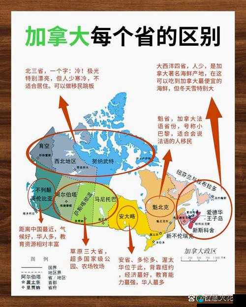探索另类Z○0的独特魅力：如何在现代生活中找到其应用与价值？