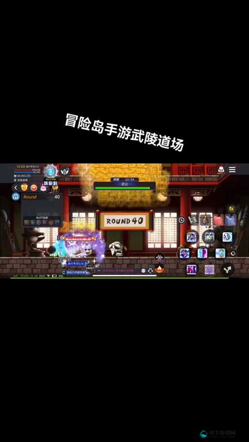 冒险岛手游武陵道场怎么刷 道场心得分享——演变史专题