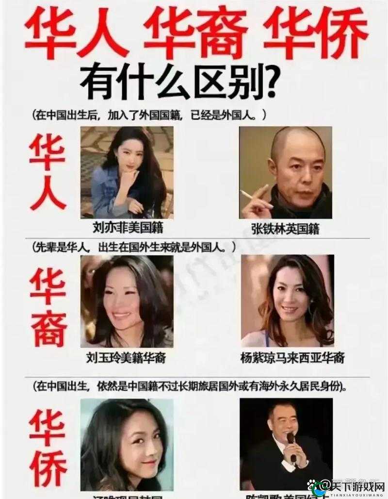 海外华人华侨皇冠究竟是什么？为何备受关注？探秘其背后的故事与意义
