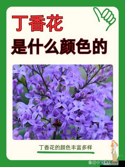 以下几个供您参考：色五丁香到底是什么？它有何独特魅力与价值？探秘色五丁香：这种神秘的植物背后隐藏着怎样的故事？你了解色五丁香吗？它在植物界有着怎样非同寻常的地位？色五丁香：为何能在众多花卉中脱颖而出？其奥秘在哪？