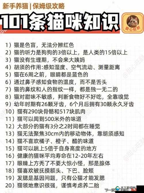 如何成为一名合格的鉴黄师?