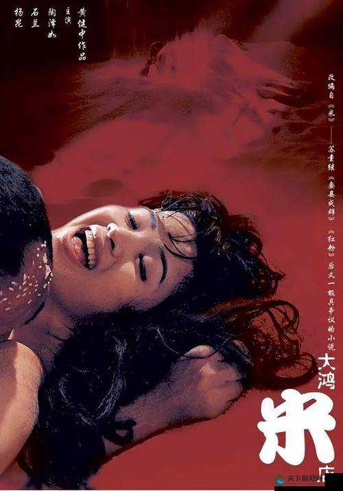 探索熟妇无码P0rn性Vide0s的魅力：深入了解成年人影片背后的文化与影响