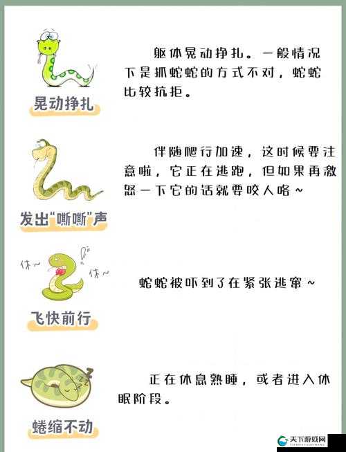 蛇蛇大作战爬行速度过慢？原因揭秘与解决攻略