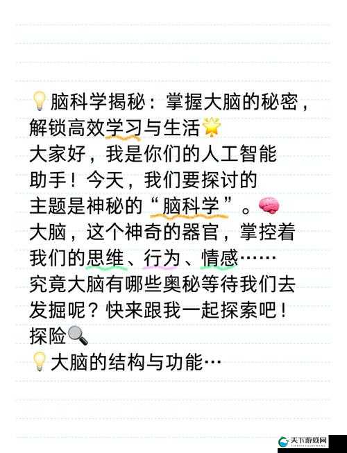探索www色con的奥秘：如何利用这一工具提升你的在线体验与效率？
