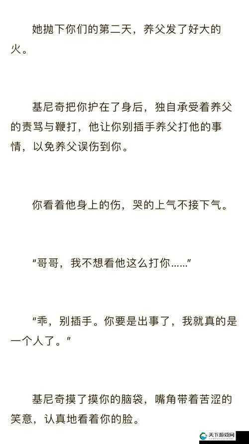 文枫与柔佳完整小说免费阅读：一段感人至深的爱情故事，探索命运与选择的交织