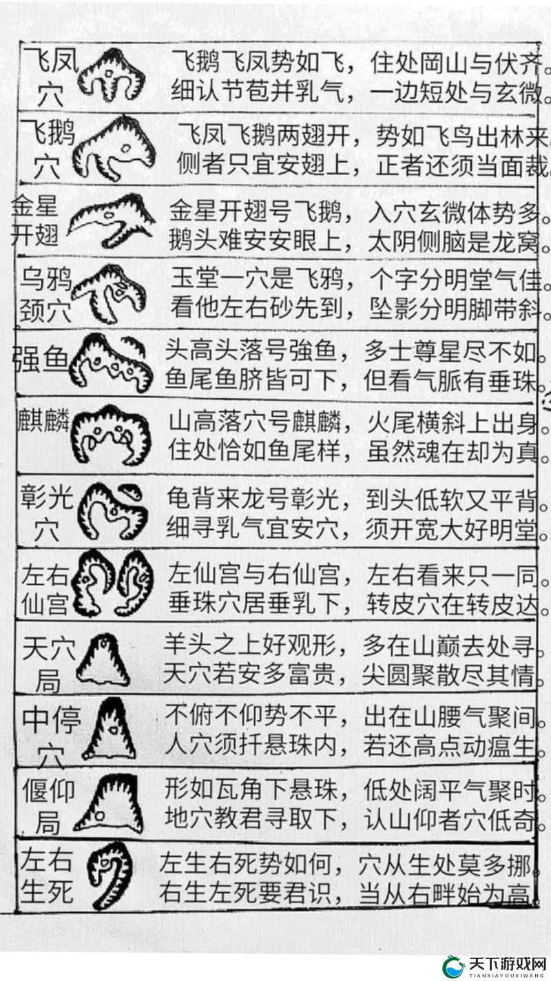 盗墓OL寻龙点穴怎么玩？寻龙点穴技巧详解