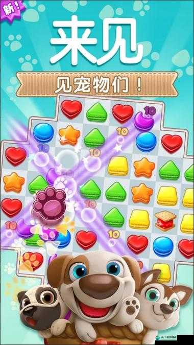 碎碎曲奇最难关卡攻略[视频]