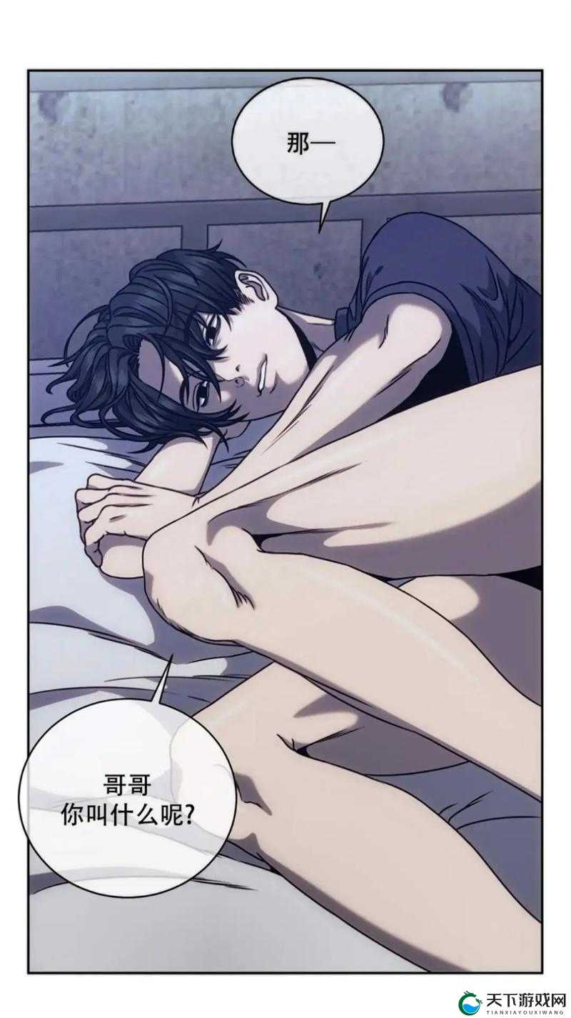 小男男、Gay男男、A站网究竟有何关联？探索其背后的神秘世界