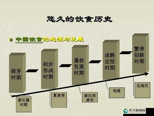 XXXXX日本人生活方式大揭秘：从饮食到文化的全面解析