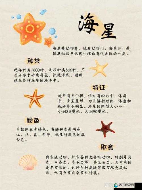 你想了解哪些关于海角的信息？