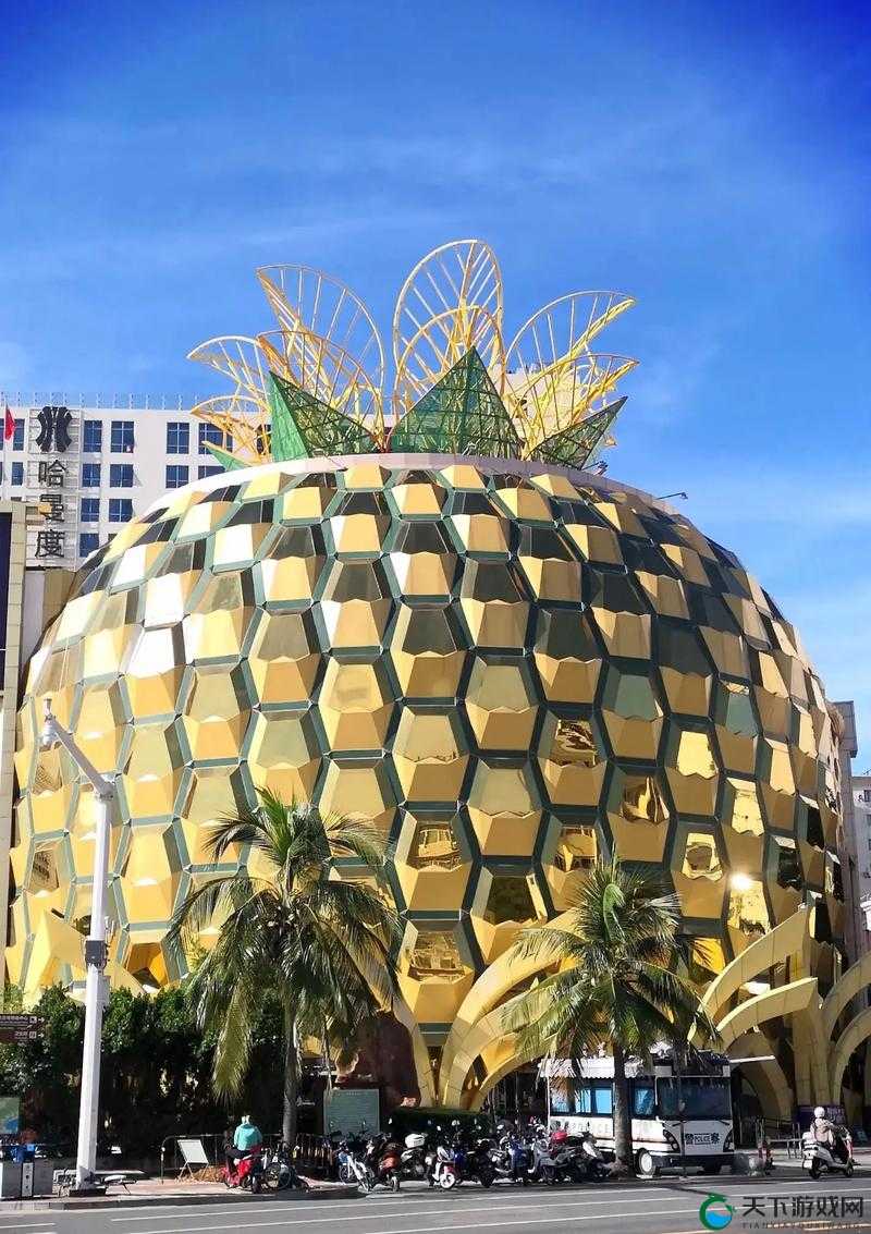 大菠萝福建官方隐藏入口 2024 究竟在哪里？如何快速找到它？