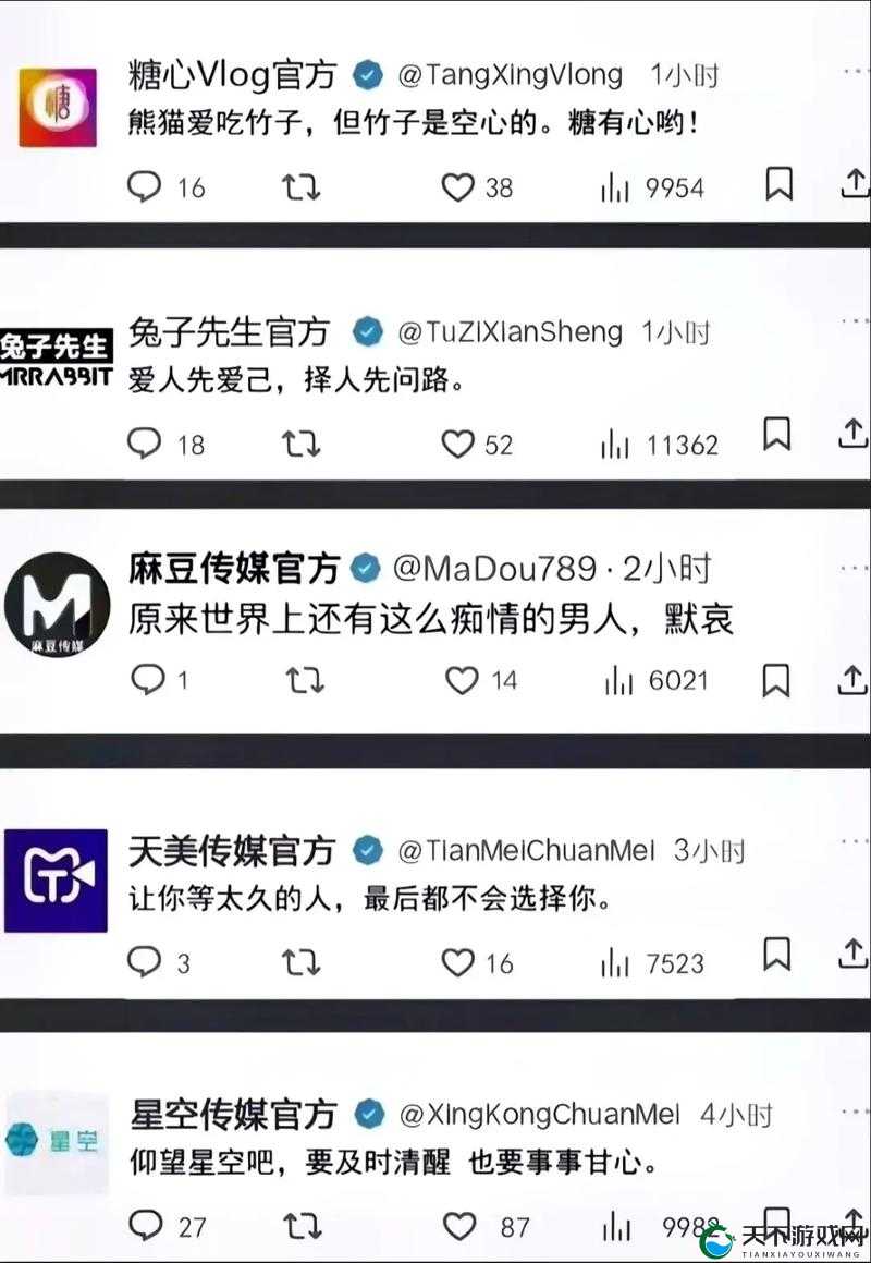 天美传奇传媒官网究竟有何独特之处？快来一探究竟