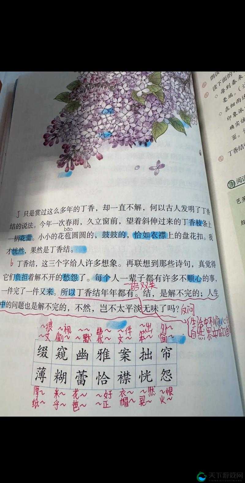 为什么丁香园的五色月会引发争议？