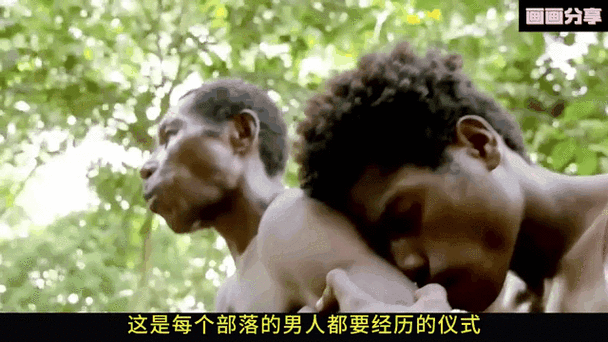 午夜精品成年人髦片非洲：探索神秘大陆的激情与魅力，揭秘非洲夜生活的独特风情与无限诱惑