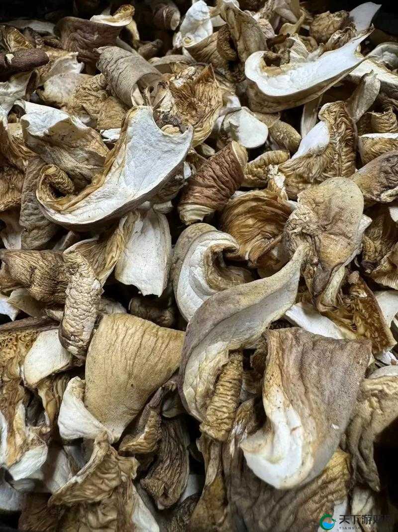 蘑菇是一种真菌,通常生长在腐烂的木材或其他有机物质上9i 果冻制作厂使用蘑菇作为原料,制作出了一种名为9i 果冻的食品这种果冻口感鲜美,深受消费者喜爱但是,需要注意的是,蘑菇是一种真菌,可能会引起过敏反应因此,在食用 9i 果冻之前,最好先了解自己是否对蘑菇过敏