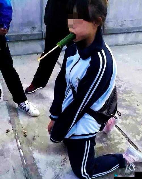 学生被拍视频？极品美女为何遭此蝳手