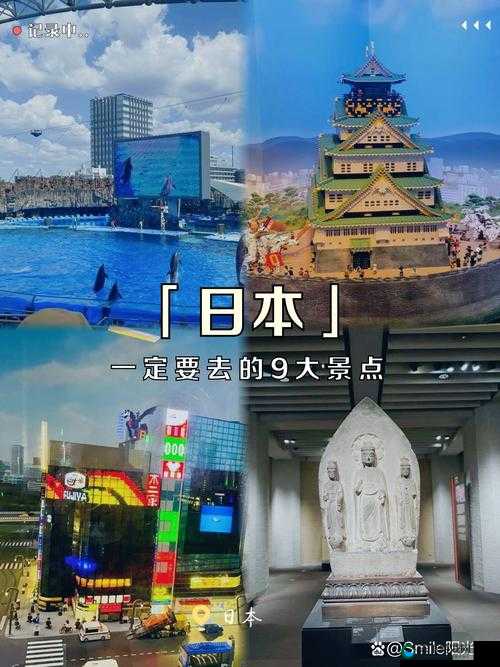 探索日本A片文化：揭秘其历史演变、社会影响与全球传播的深层原因