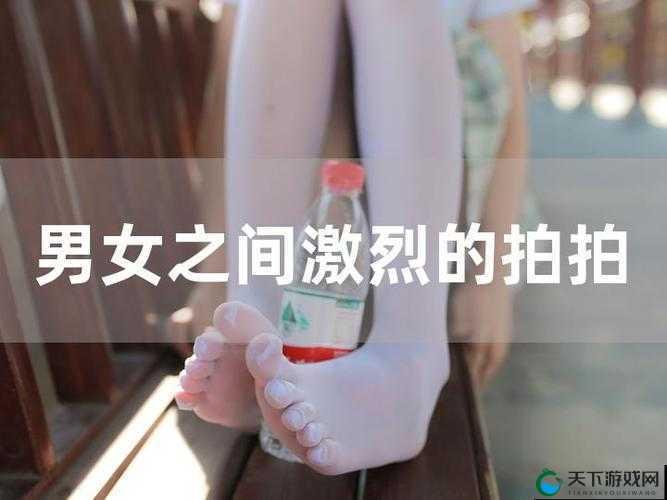 求拍拍拍 1000 无档视频免费观看，在线等，挺急的
