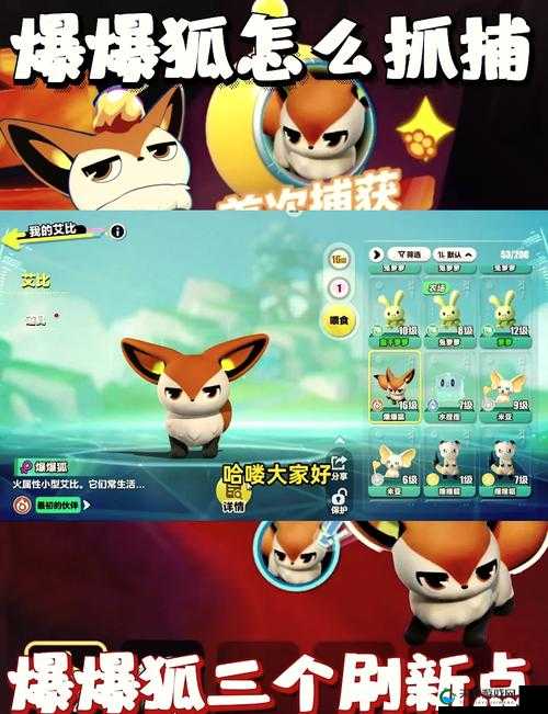宠物小精灵GO沙狐乐园尽情捉宠攻略
