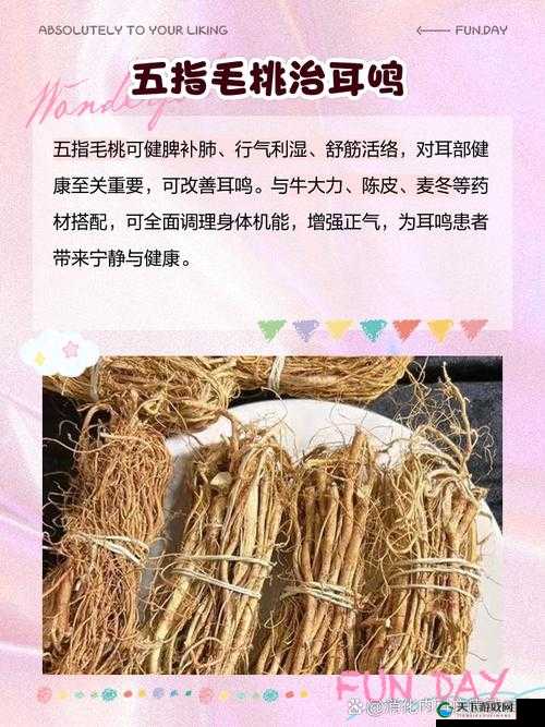五指毛桃不适宜人群有哪些？哪些人群应避免食用五指毛桃？
