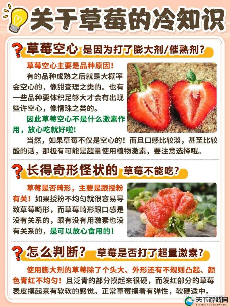 草莓 App 旧版为何备受关注?它有哪些独特之处和吸引人的功能?