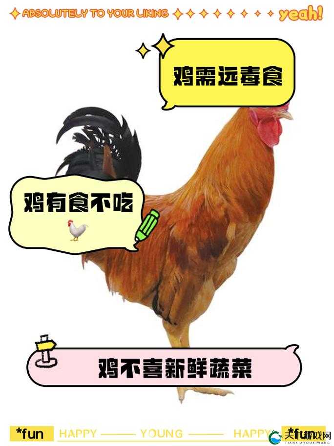 为什么吃鸡吃到一半会变软？这个问题困扰了很多人，你知道原因吗？