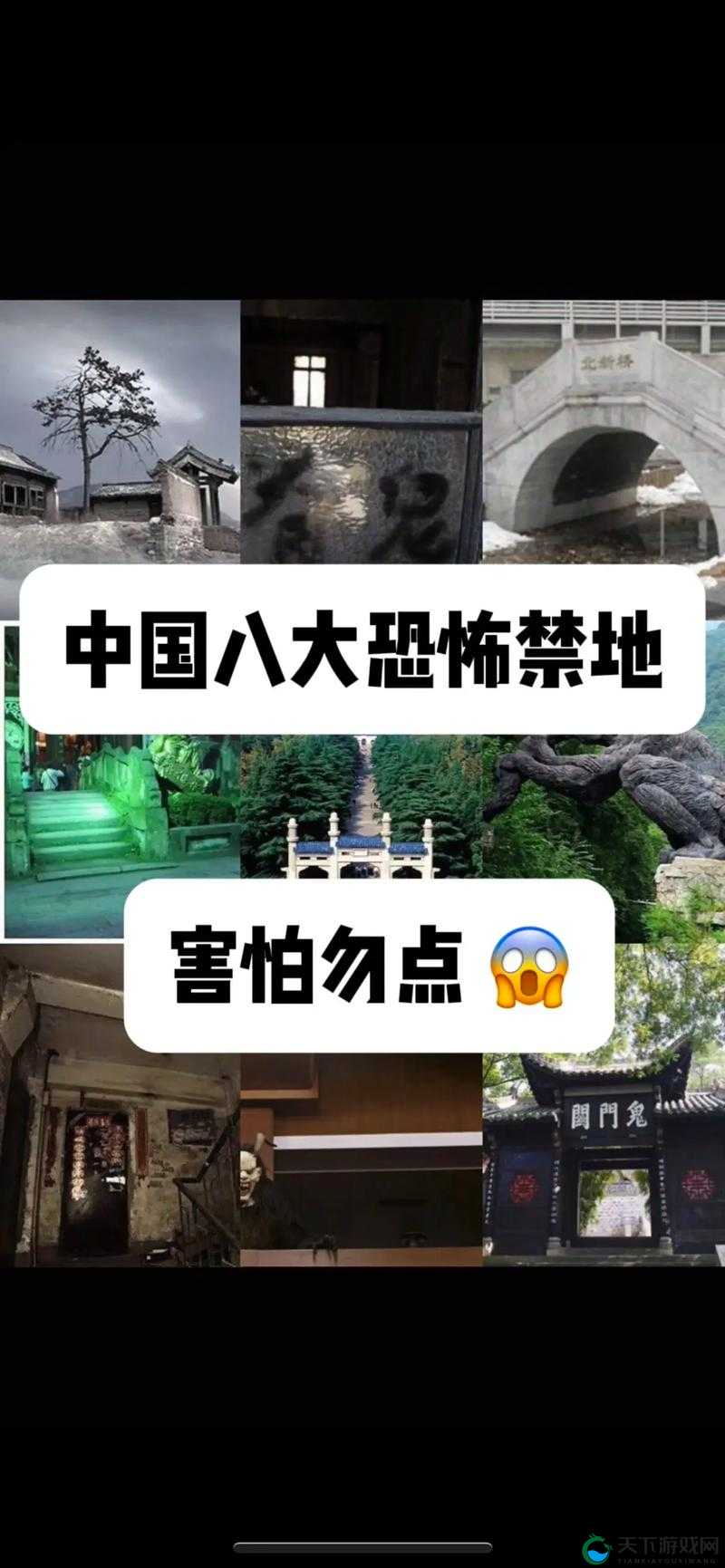 大地中文第五页,隐藏着哪些不为人知的秘密?
