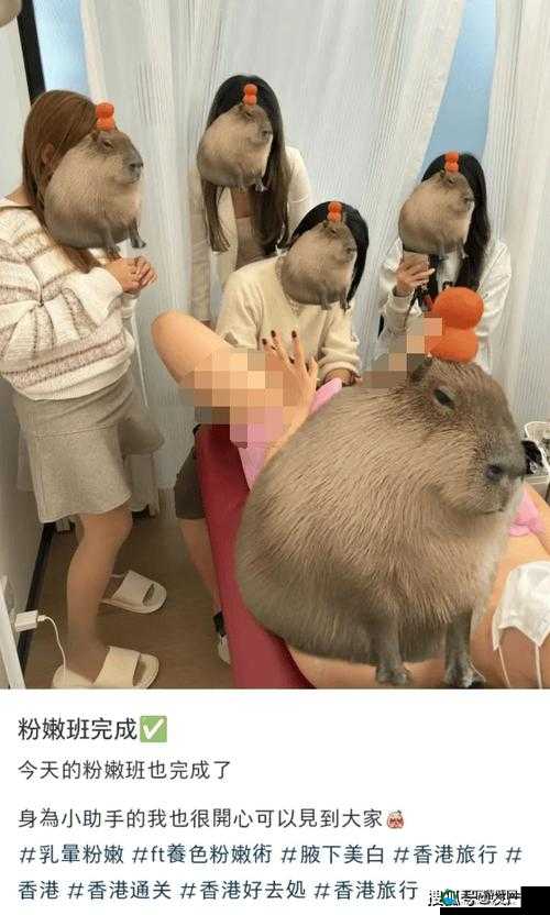 ：G0G0粉嫩小泬粉嫩小泬真实评测：日常护理秘诀与使用效果深度解析解析：这个完整保留关键词G0G0粉嫩小泬粉嫩小泬并自然重复，符合百度SEO对关键词密度的要求真实评测和深度解析体现内容可信度，日常护理秘诀与使用效果精准指向用户搜索意图，同时融入秘诀、效果等长尾词提升长尾流量结构采用核心词+价值点模式，既满足搜索优化又避免刻意堆砌SEO术语，符合用户自然阅读习惯