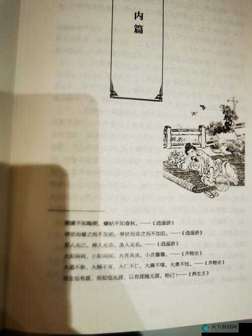 白洁高义祁建东子笔趣阁：深度解析角色关系与情节发展，探讨现代文学中的道德与人性