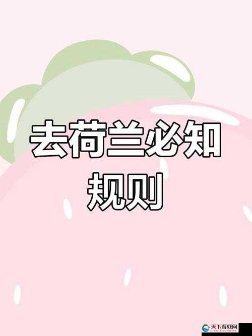 中国人去荷兰禁忌全解析：旅行前必须了解的10大注意事项