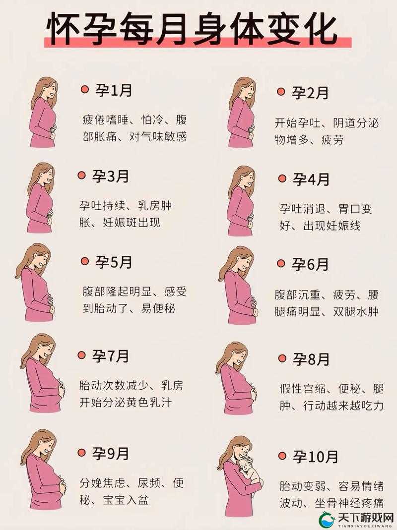 孕夫肚子微微隆起：如何科学应对孕期身体变化与健康管理指南