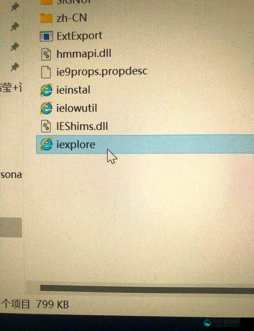 vicineko浏览器入口在哪里？如何快速找到vicineko浏览器入口？