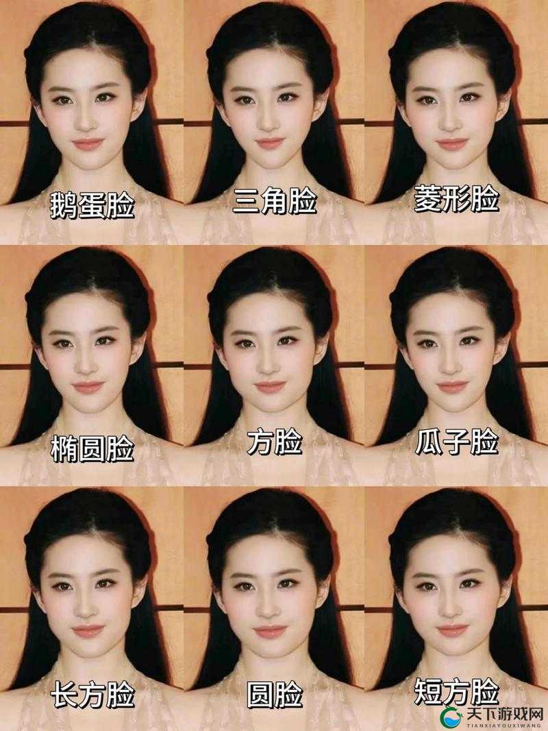 亚洲脸型与欧洲脸型的显著差异：从轮廓到五官的全面解析与对比